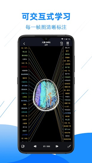 影像解剖图谱官方版 v4.1.8 安卓版1
