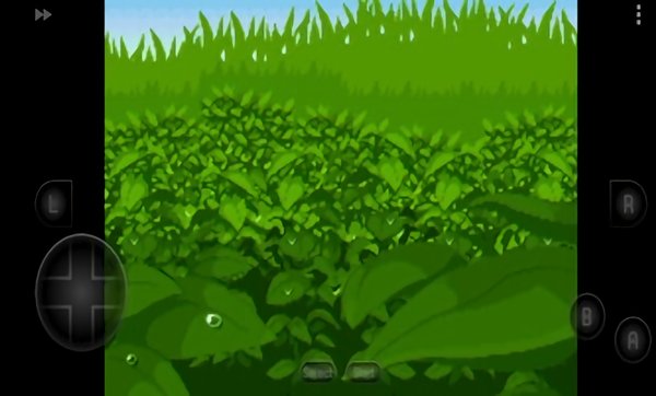 口袋妖怪四季之约 v2021.05.14.13 安卓版1