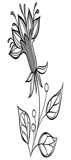 小画家填色涂画最新版 v1.0.0 安卓版3