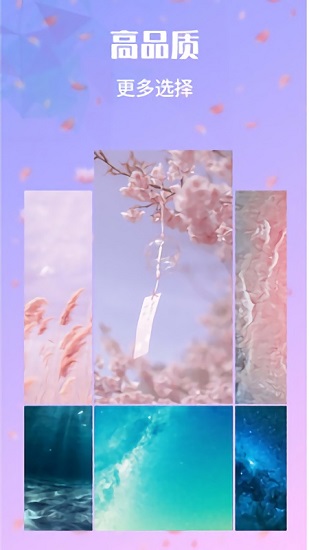动态视频壁纸app免费版 v10.7.23 安卓版1