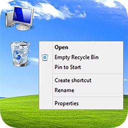 winxp模拟器apk汉化版