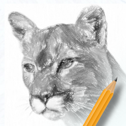 素描绘画入门教程软件