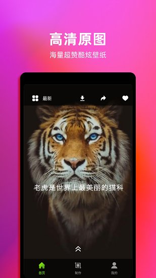 live动态壁纸app v1.7 安卓版1
