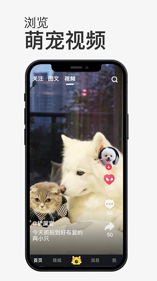 小宠书最新版 v1.1.2 安卓版1