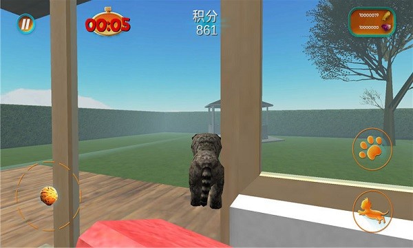小猫咪模拟器最新版(模拟猫咪) v1.0.7 安卓版0