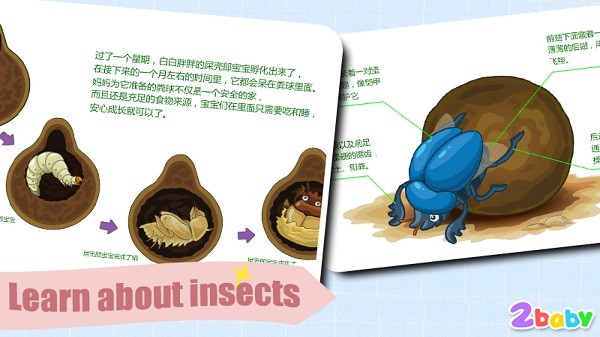 宝宝昆虫世界手游 v1.3.2 安卓版1