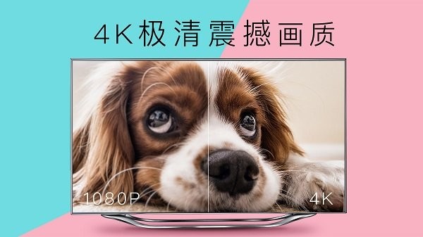 cibn4k花园app v3.7.3.7 安卓版1