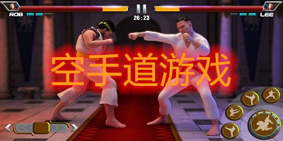 空手道游戏