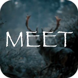 遇见壁纸最新版