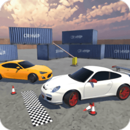 特技停车大师游戏