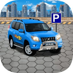 真实停车场模拟器2021