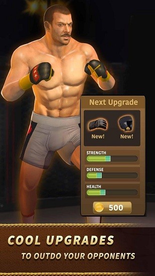 拳击模拟3d游戏 v1.09 安卓版2