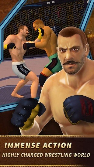 拳击模拟3d游戏 v1.09 安卓版0