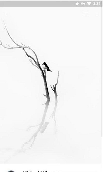 walldrobe壁纸app v4.4.1 安卓版0