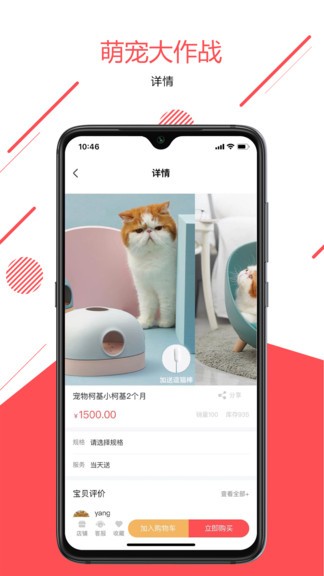 宠传奇最新版 v1.0.1 安卓版0