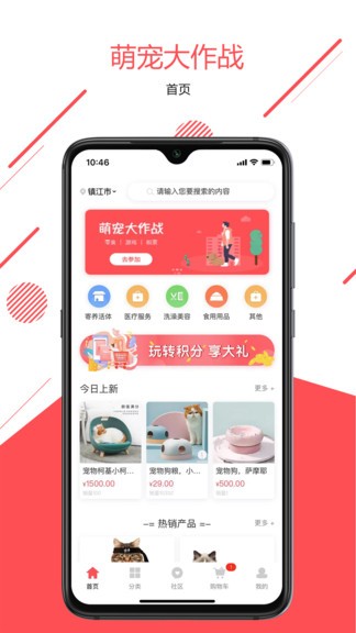 宠传奇最新版 v1.0.1 安卓版2