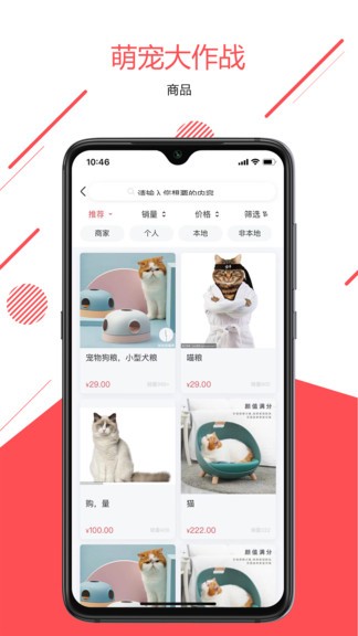 宠传奇最新版 v1.0.1 安卓版3