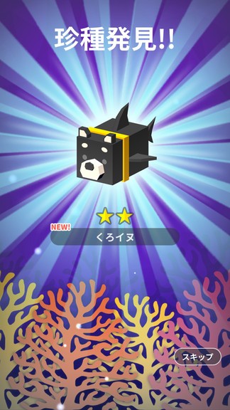 动物之海 v1.0.2 安卓版1