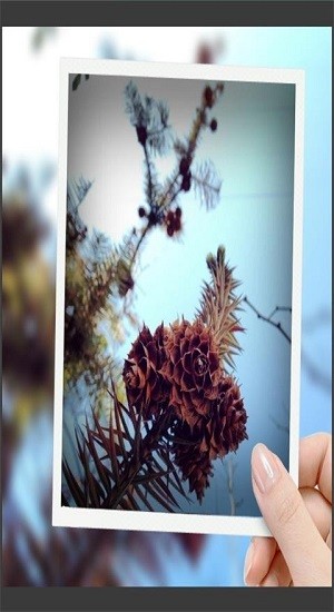 趣拍玩图照相机官方版 v8081.24.7.12 安卓版0