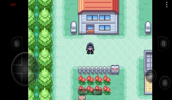 口袋妖怪火红萌娘手机版 v2021.02.22.14 安卓免费版3