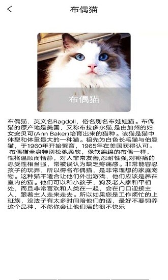 贝贝宠物百科 v1.0 安卓版2