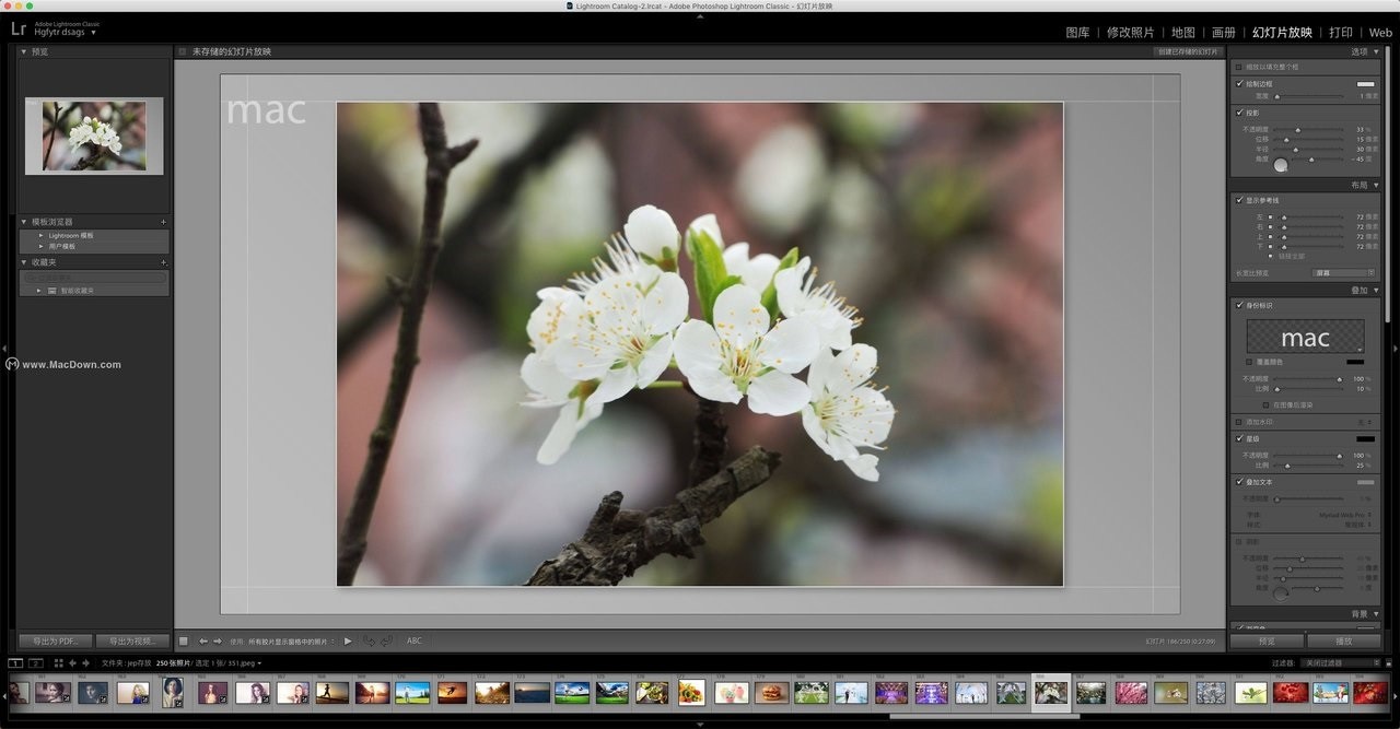 lr2021正式版mac v10.3.0.202105281559 最新版0