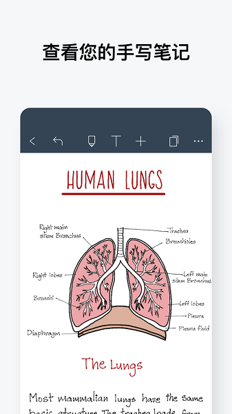 noteshelf苹果手机版 v8.8.13 官方版3