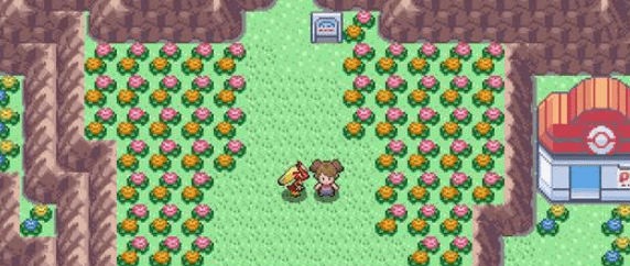 pokemmo黑白rom包电脑版 v1.0 最新版0