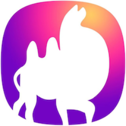 驼乡云app最新版