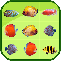 一起来抓鱼最新版