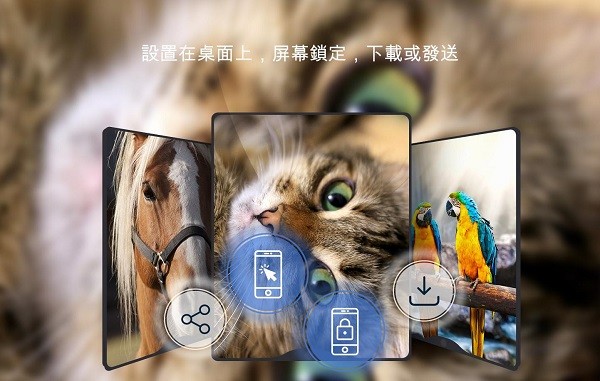 美丽的壁纸4k phone版 v1.0.22 安卓版1