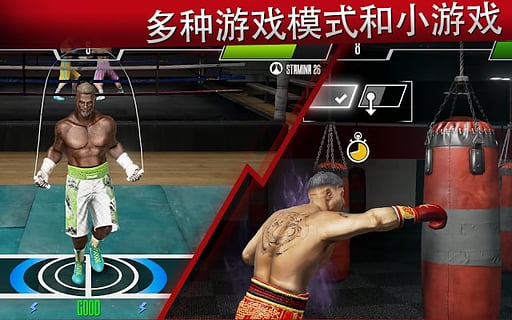 真实拳击2洛奇免费版(Real Boxing 2) v1.13.6 安卓版2