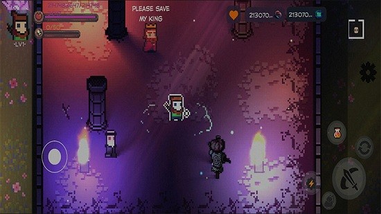 最后的地牢游戏 v1.3.9 安卓版2