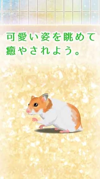治愈的仓鼠养成游戏 v2.1 安卓版1