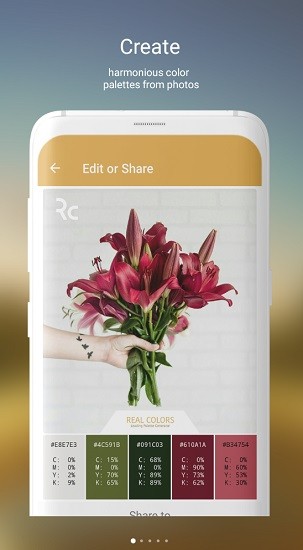 real colors真实色彩 v2.0.2 安卓版0