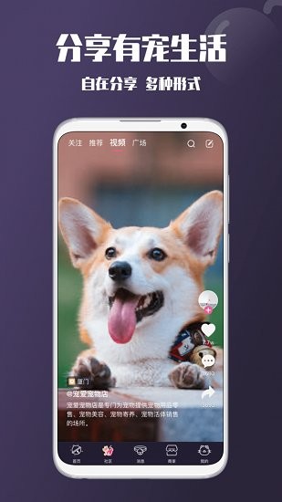 憨憨宠物 v1.0.0 安卓版1