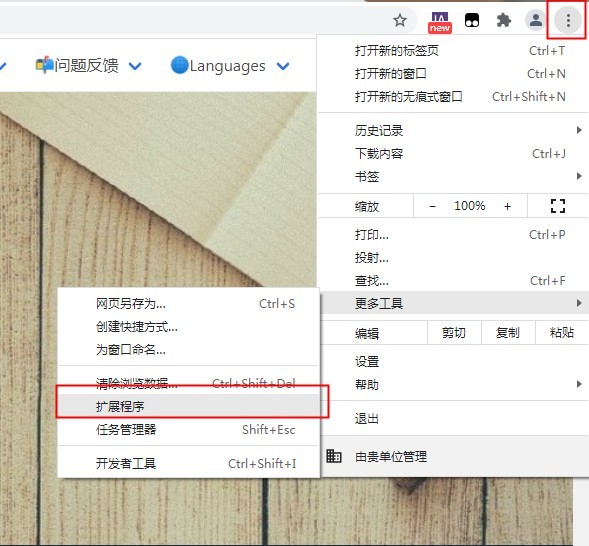 saladict saladict插件下载