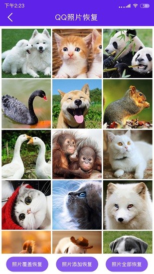 手机数据恢复管家app v1.2.1 安卓版3