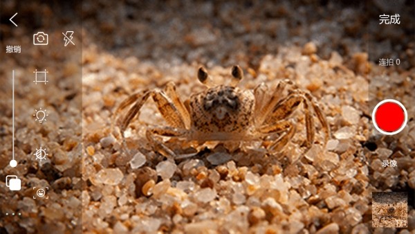 逐格光影 v 1.8.8.021419.product 安卓版1