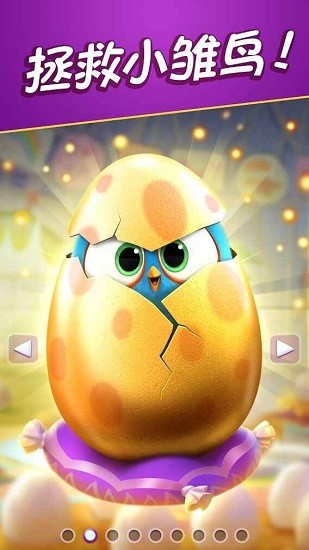 愤怒的小鸟消除大赛游戏 v1.0.9 安卓版0