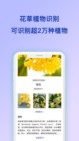扫描识图取字(扫描全能王识图) v1.0.3 安卓版1