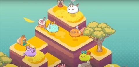 axieinfinity游戏手机app(元宇宙) v1.0.0 安卓版2