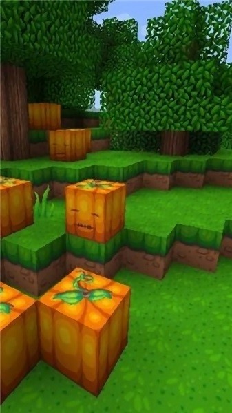 像素制作工艺手机版 v1.0 安卓版2