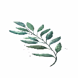 刺激战场画质修改软件(120帧)