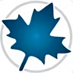 maple2020软件