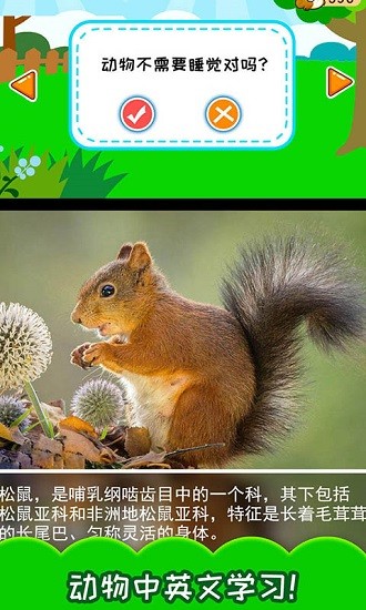 萌宠小镇城堡官方版 v2.90.21123 最新版2