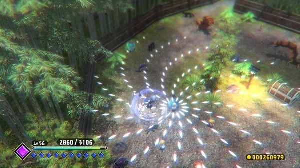 东方红辉心 东方红辉心