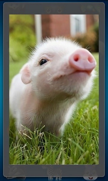 趣味动物发声游戏 v2.8 安卓版0