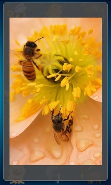 趣味动物发声游戏 v2.8 安卓版3