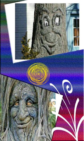 美美相框照相机 v8081.24.3.8 安卓版1